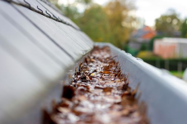 Commercial Gutter Cleaning in Meridian