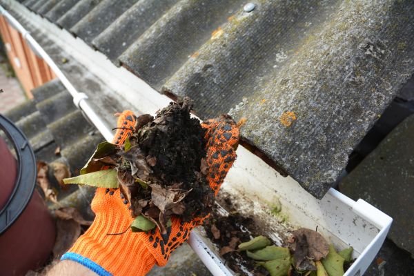 Seamless Gutter Cleaning in Meridian