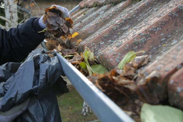 Commercial Gutter Unclogging in Meridian
