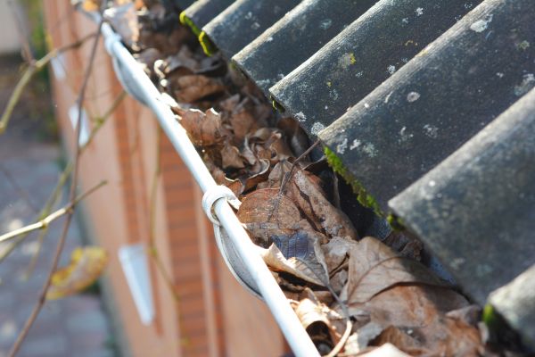 Home Gutter Cleaning in Meridian