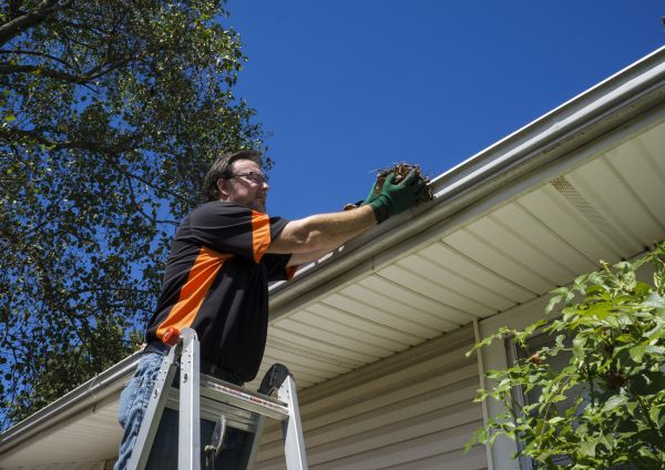 Building Gutter Cleaning in Meridian