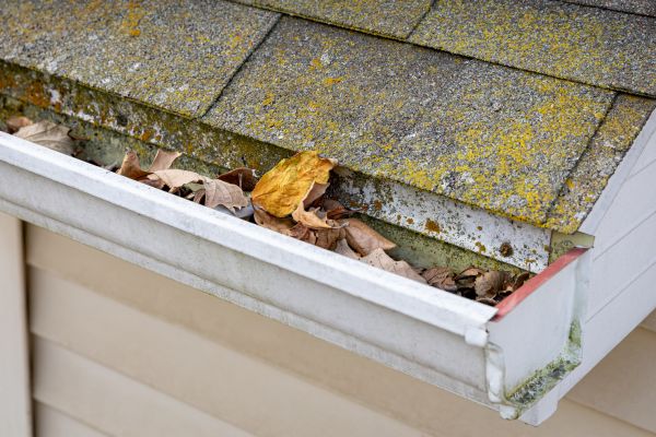 Garage Gutter Cleaning in Meridian