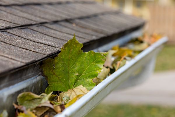 Gutter Leaves Removal in Meridian