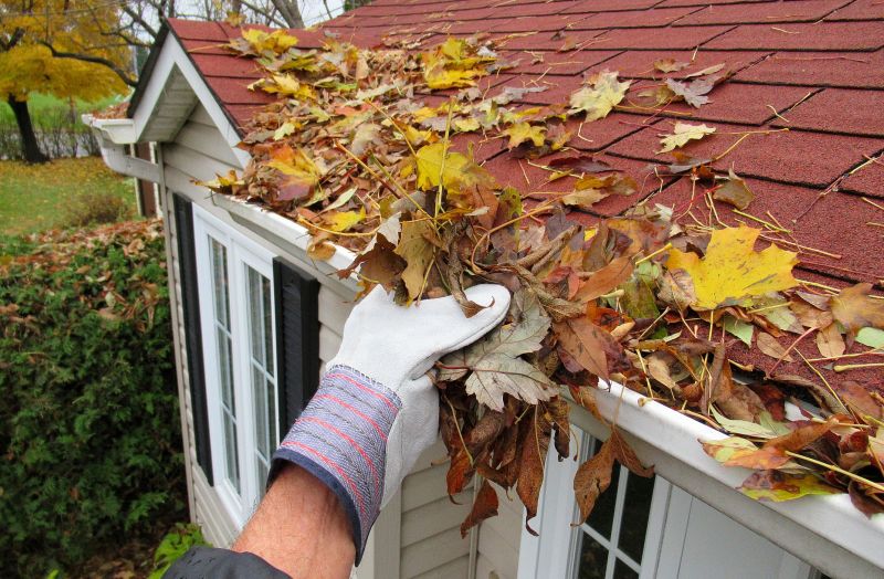 Gutter Leaves Removal detail