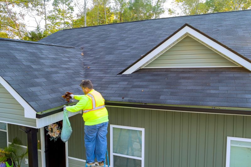 Gutter Maintenance Safety